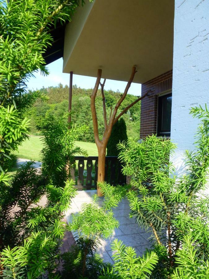 Ferienwohnungen Finke Frankenau Bagian luar foto