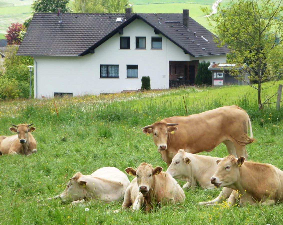 Ferienwohnungen Finke Frankenau Bagian luar foto